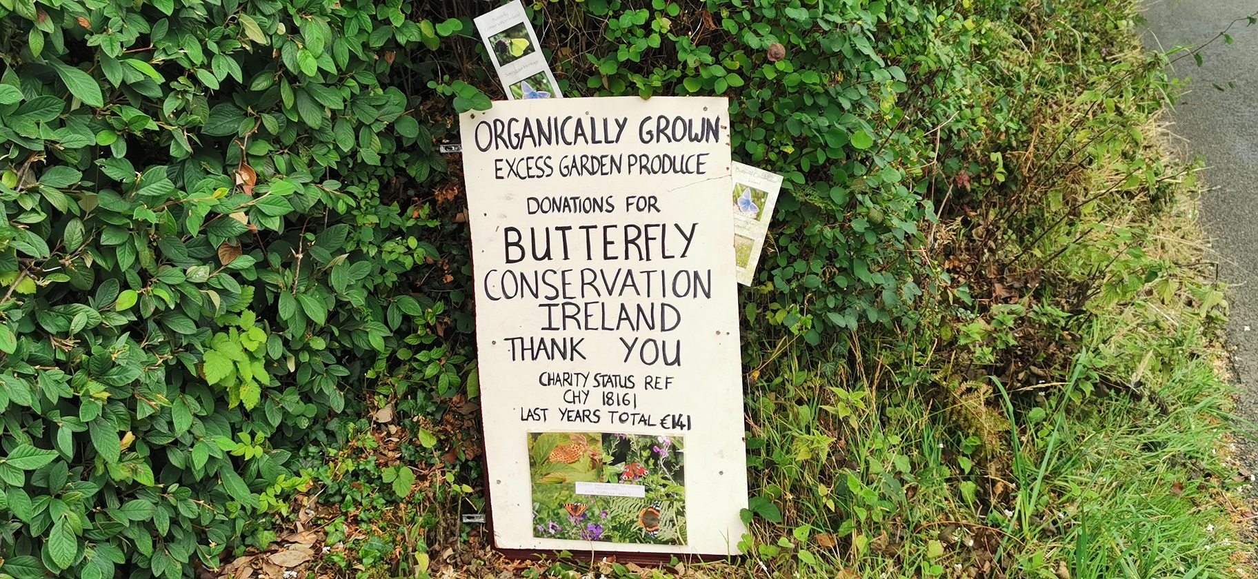 Butterfly Conservation Ireland – Page 9 – Irish Butterfly Website