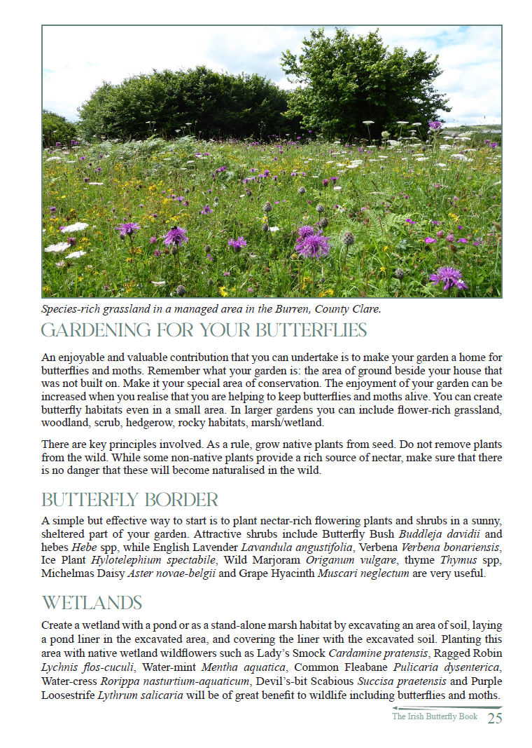 Butterfly Conservation Ireland – Irish Butterfly Website